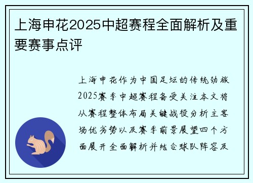 上海申花2025中超赛程全面解析及重要赛事点评