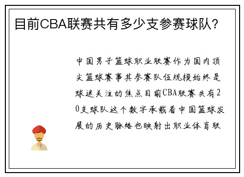 目前CBA联赛共有多少支参赛球队？